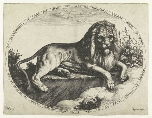 The Lion
