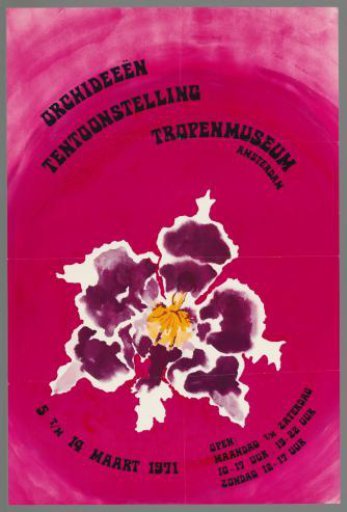 Orchid Exhibition