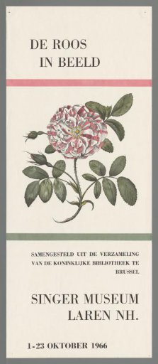 The rose in images. Compiled from the collection of the Royal Library of Brussels