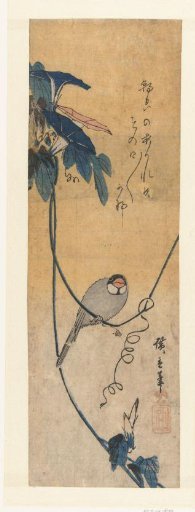 Bird and blue morning glory