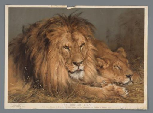 Reproduction of a painting with two lions by Géza Vastagh