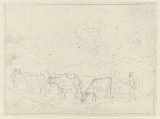 Sketch of an ox drive