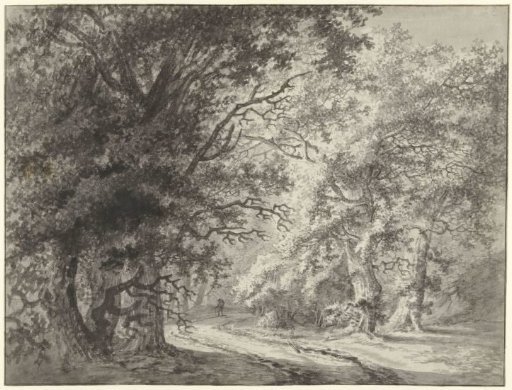 Wooded landscape with a sandy road and a traveller