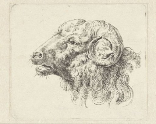 Ram's Head, Facing Left