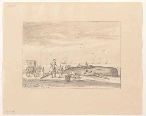 A beached whale on the shore between Zandvoort and Wijk aan Zee, 20 February 1762