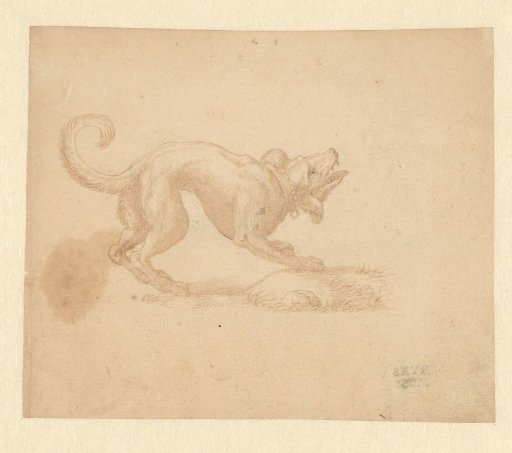 Barking dog, facing right