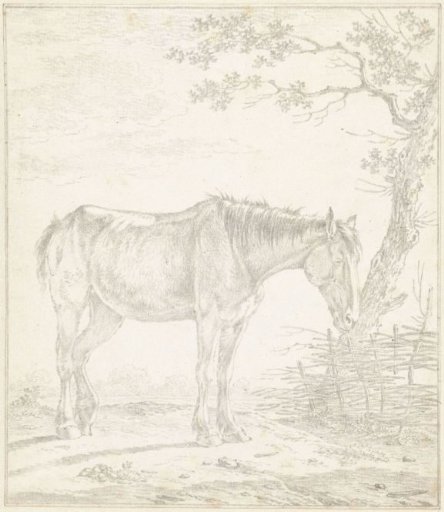 Horse, standing by a tree