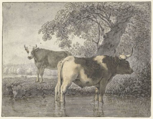 Two Cows Under a Tree by the Water