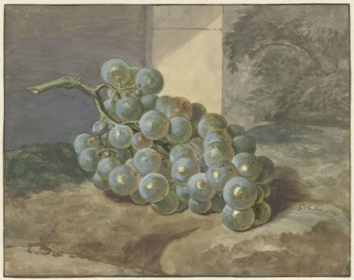 Bunch of grapes