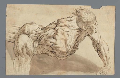 Anatomical study of a standing man