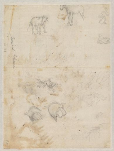 Various sketches, including a horse and a helmet