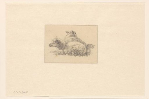Two Sheep