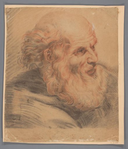 Head of a man with a beard
