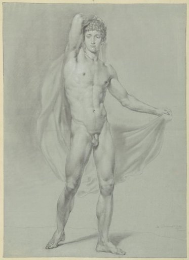 Standing male nude, with a cloth behind the back, seen from the front