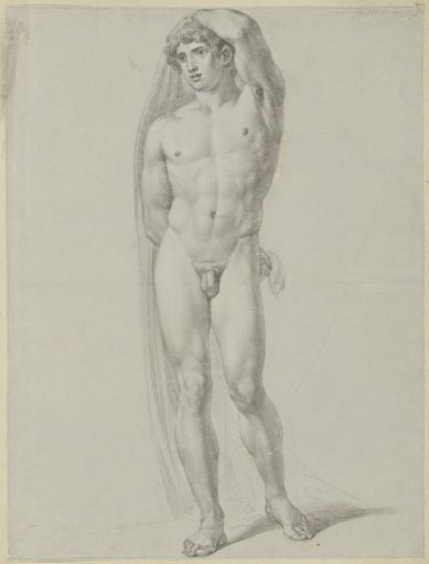 Standing male nude, from the front, holding a cloth behind his back