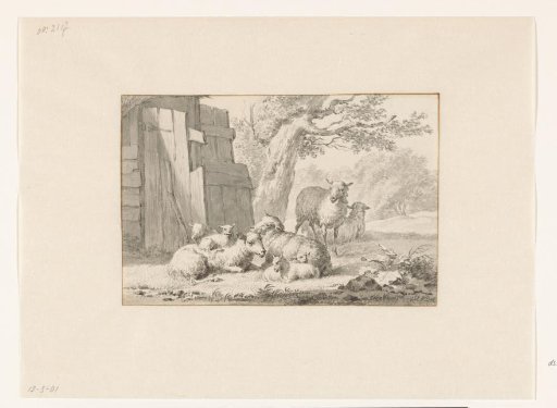 Sheep near a barn