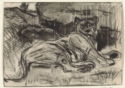 Lying lion