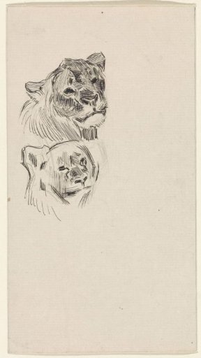 Two heads of lions