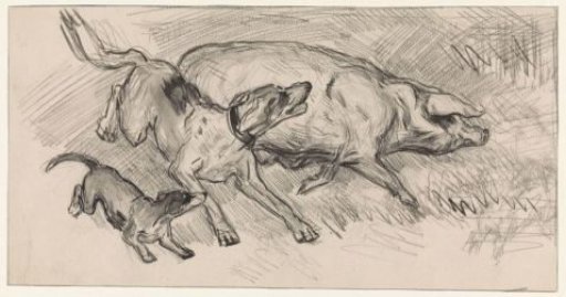 Two dogs chasing a pig