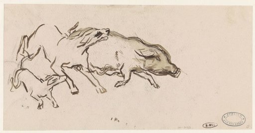 Two dogs chasing a pig