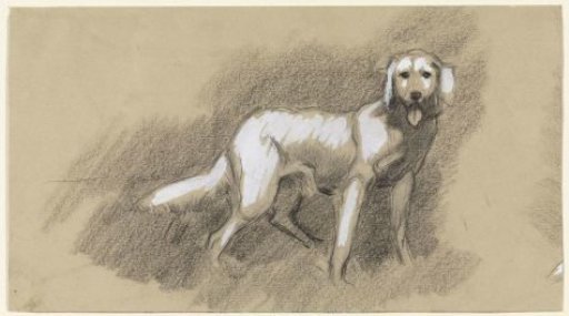 Standing dog