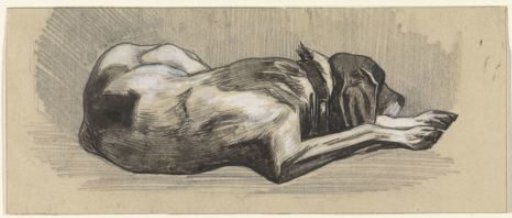 Sleeping dog, facing right