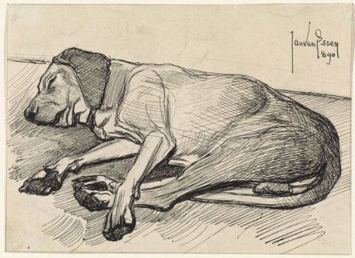 Sleeping dog, facing left