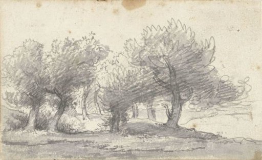 Landscape with trees