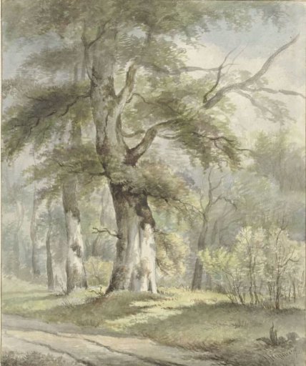 Wooded landscape