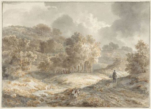 Hilly landscape