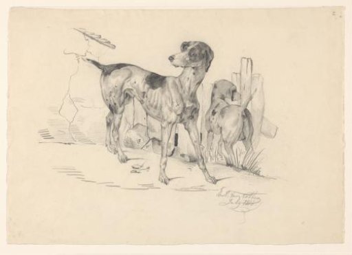 Two Dogs