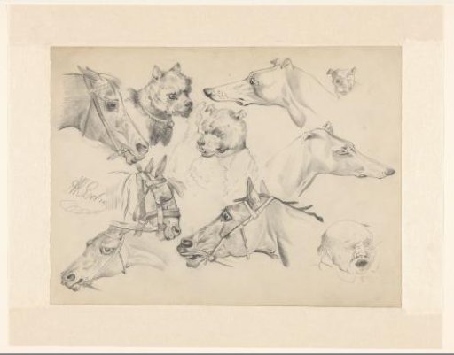 Study sheet with horses, dogs and head of a man