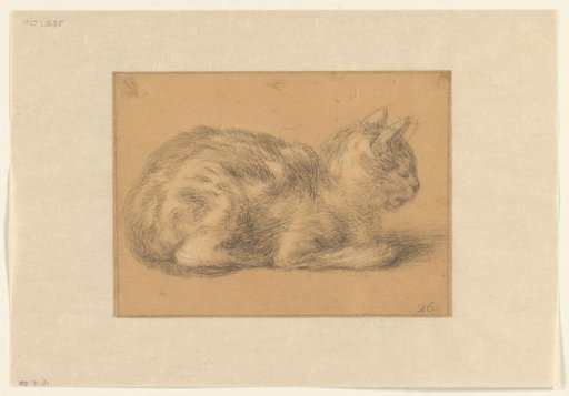 Seated Cat, to the Right