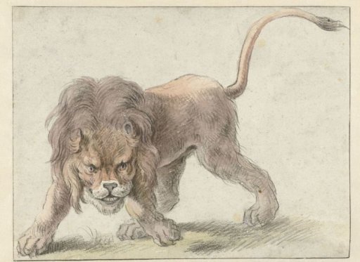 Lion