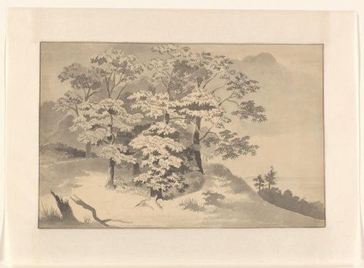 Group of Trees in a Landscape