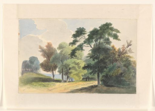 Landscape with trees
