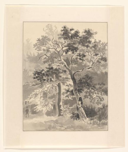 Hunter in a forest