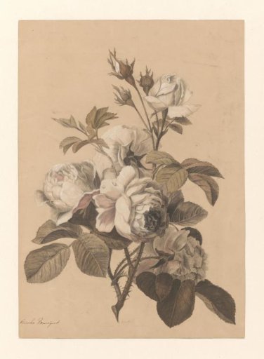 Some branches with roses