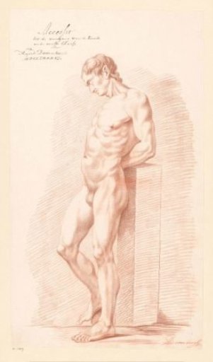 Standing male nude, seen from the side