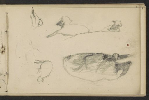 Study sheet with sheep