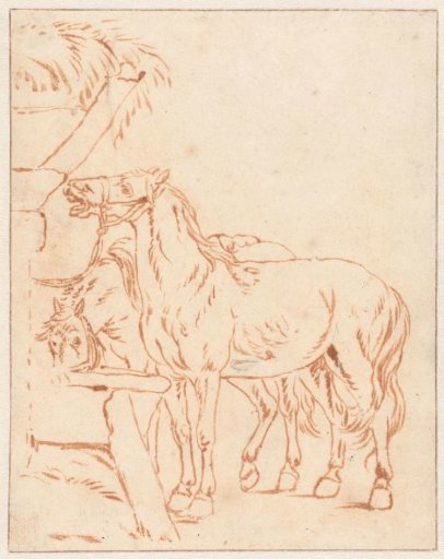 Two Horses by a Trough