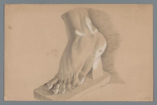 Plaster model of a foot
