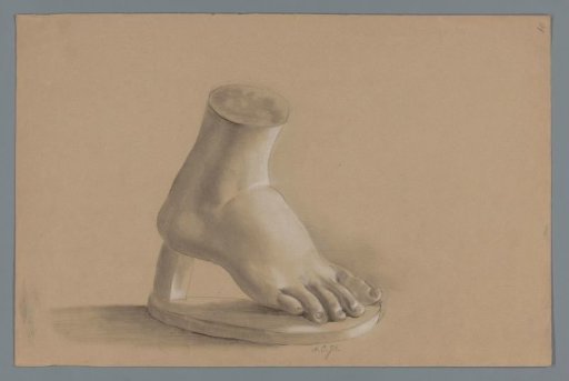 Plaster model of a foot