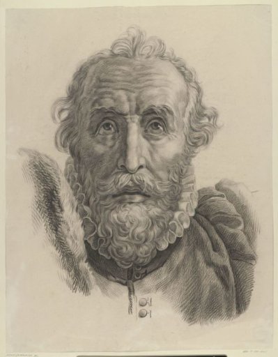 Head of a bearded man, front view