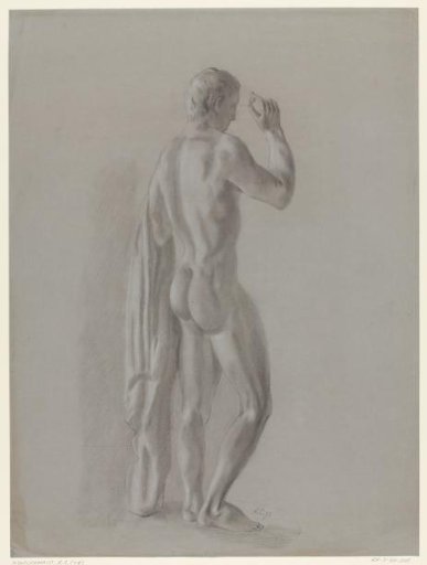 Standing male nude, seen from the back