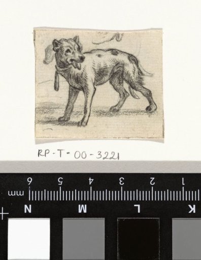Standing dog with tongue out