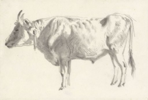 Study of an Ox, in Profile