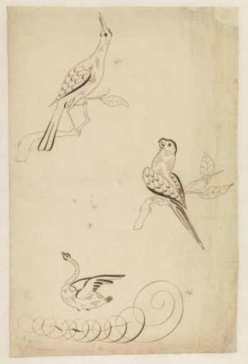 Three birds in calligraphy