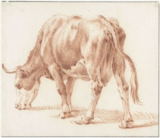 Grazing cow, facing left