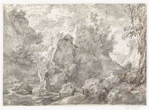 Boulders and trees by a stream